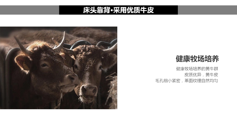 id=86b2ef066bbf4e8297c9143b9ab9314b