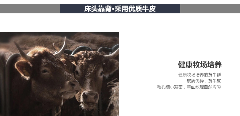 id=8969400aaa324571a5a2cef3aeeba16a